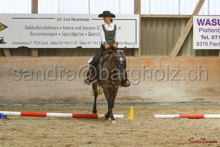 28-ApHC OT_008.jpg